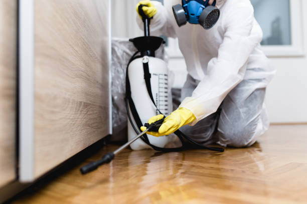 Best Mosquito Control Services  in Ridgefield Park, NJ