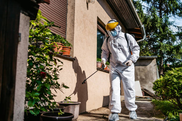 Best Termite Control Services  in Ridgefield Park, NJ