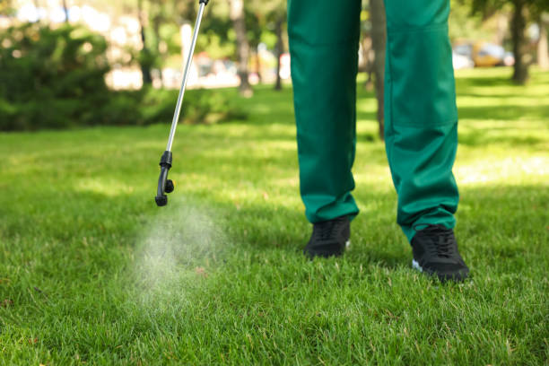 Best Ant Control Services  in Ridgefield Park, NJ