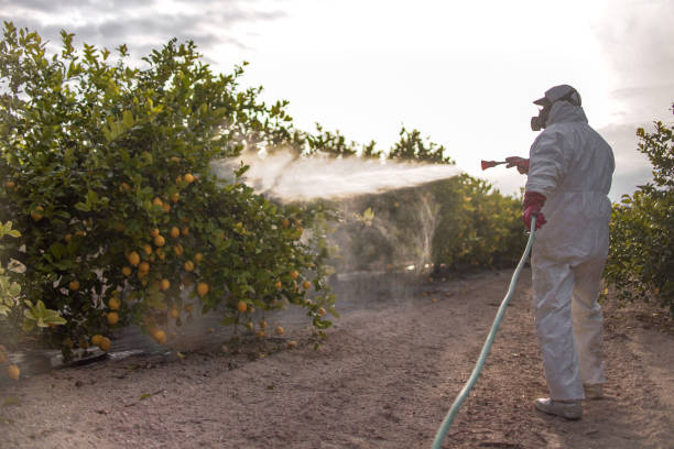 Best Wildlife Control Services  in Ridgefield Park, NJ