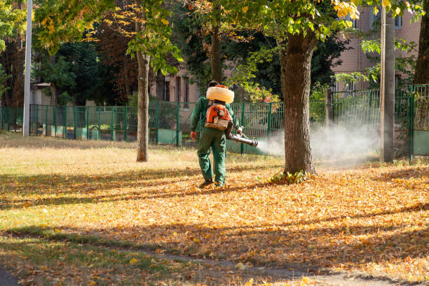 Best Flea Control Services  in Ridgefield Park, NJ