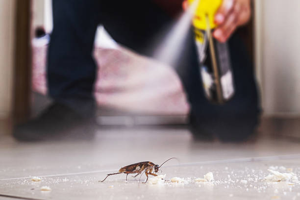 Wildlife Control Services in Ridgefield Park, NJ