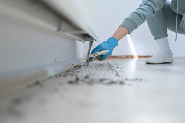 Best Best Pest Control Near Me  in Ridgefield Park, NJ